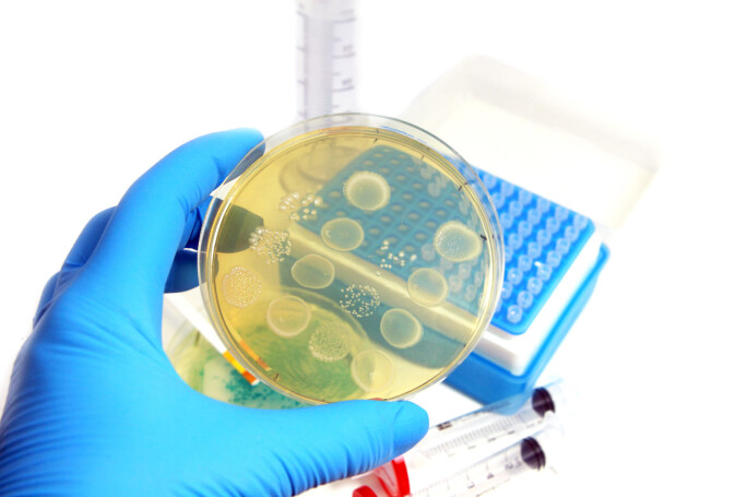 There are two ways a bacterium can become resistant to antibiotics. One way is that a common antibiotic-sensitive bacterium encounters an antibiotic-resistant bacterium. The other way a bacterium can become resistant is that a human, fish or animal takes antibiotics for a long time. There are two ways a bacterium can become resistant to antibiotics. One way is that a common antibiotic-sensitive bacterium encounters an antibiotic-resistant bacterium. The other way a bacterium can become resistant is that a human, fish or animal takes antibiotics for a long time.