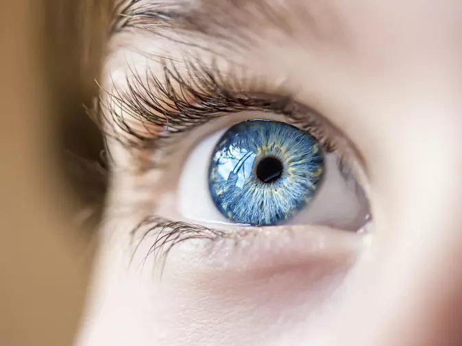 Dominante eller vikende gener avgjør om du får blå eller brune øyne. De samme mekanismene er i sving når resistens smitter andre bakterier.