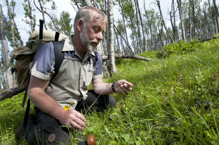Per K. Bjørklund har kartlagd Nordnorsk natur i over 40 år. (Foto: Lars Sandved Dalen/Skog og landskap) Per K. Bjørklund har kartlagd Nordnorsk natur i over 40 år. (Foto: Lars Sandved Dalen/Skog og landskap)