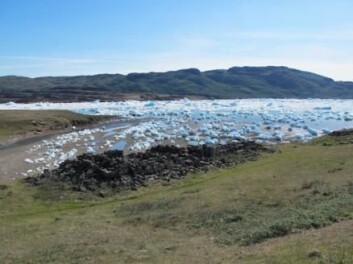 En svært godt bevart nordboerruin, hvor forskerne grov i sommer 2011. (Foto: Peter Steen Henriksen) En svært godt bevart nordboerruin, hvor forskerne grov i sommer 2011. (Foto: Peter Steen Henriksen)