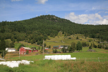 Fra Rygnestad i Valle kommune. Arealene i forkant har god jordkvalitet og er viktige for produksjon av gras. Arealene i midten av bildet har noe dårligere jordkvalitet men de er verdifulle som beitearealer. (Foto: Oskar Puschmann, Skog og landskap) Fra Rygnestad i Valle kommune. Arealene i forkant har god jordkvalitet og er viktige for produksjon av gras. Arealene i midten av bildet har noe dårligere jordkvalitet men de er verdifulle som beitearealer. (Foto: Oskar Puschmann, Skog og landskap)