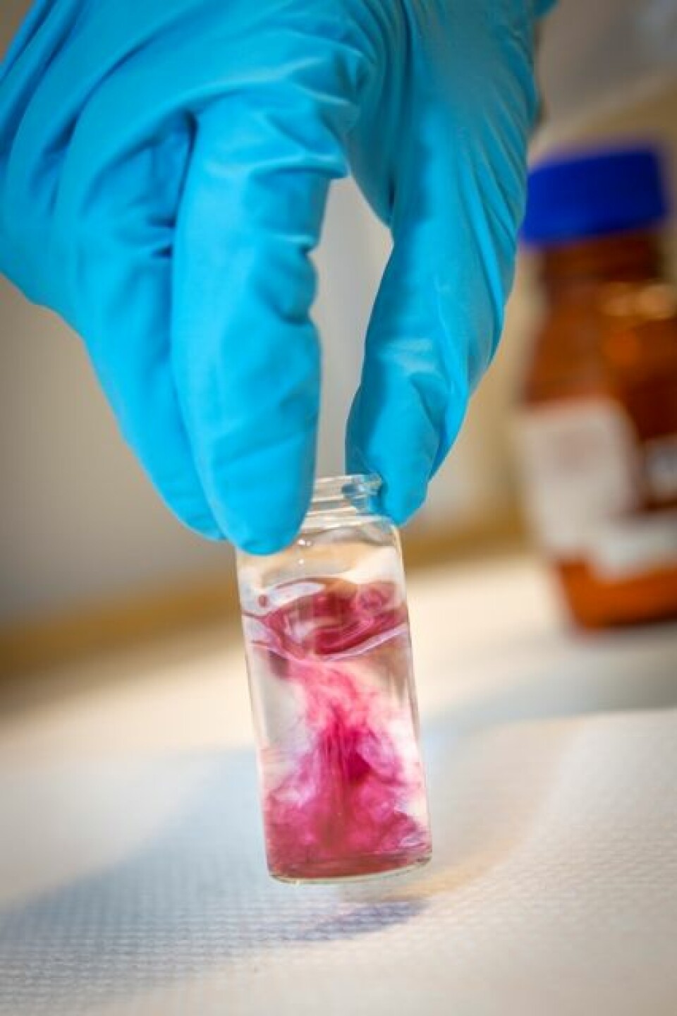 Etter elleve år med testing på lab-en skal nanogullmedisinen til hausten testast på ein sverm med bier. (Foto: Ole Morten Melgård)
