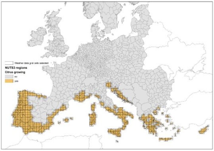Det oransje på kartet viser de administrative enhetene i EU-land med sitrusproduksjon. Basert på disse administrative enhetene ble det valgt hvilke 25 km ruter med værdata som skulle inngå i simuleringene av infeksjonsforhold for sitrussvartflekk. (Foto: (Illustrasjon: Bioforsk)) Det oransje på kartet viser de administrative enhetene i EU-land med sitrusproduksjon. Basert på disse administrative enhetene ble det valgt hvilke 25 km ruter med værdata som skulle inngå i simuleringene av infeksjonsforhold for sitrussvartflekk. (Foto: (Illustrasjon: Bioforsk))