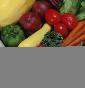 "Frukt og grønnsaker er fremdeles sunt. Vitaminer i pilleform kan ikke gi noen fullverdig erstatning."