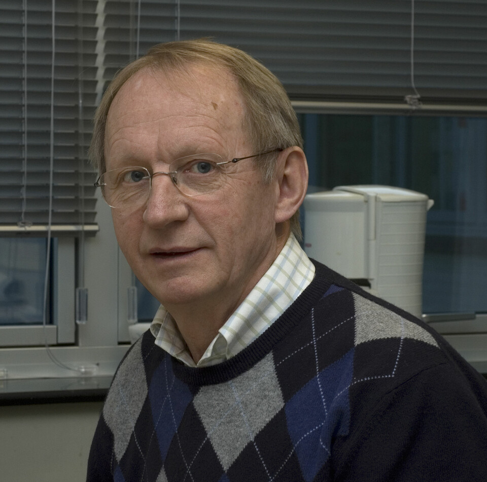 Professor Per Osland ved Institutt for fysikk og teknologi ved Universitetet i Bergen. (Foto: Privat)