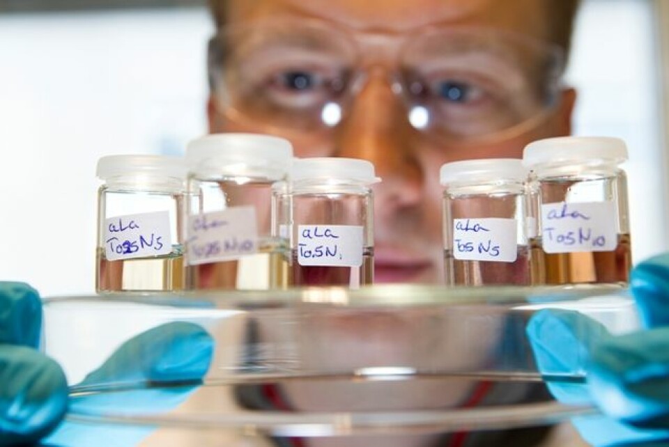 Forskar Wilhelm Glomm lagar bitte små klasar med nanogull inne i ulike protein. Fargen på dei ulike blandingane fortel blant anna om talet på partiklar og storleiken på nanogullet. Gullet gjerat forskarane kan følgje med på kvar i kroppen medisinen er. (Foto: Ole Morten Melgård)
