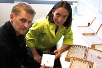 "Arnstein Staverløkk og May-Guri Sæthre ved Bioforsk Plantehelse. Foto: Morten Günther" "Arnstein Staverløkk og May-Guri Sæthre ved Bioforsk Plantehelse. Foto: Morten Günther"
