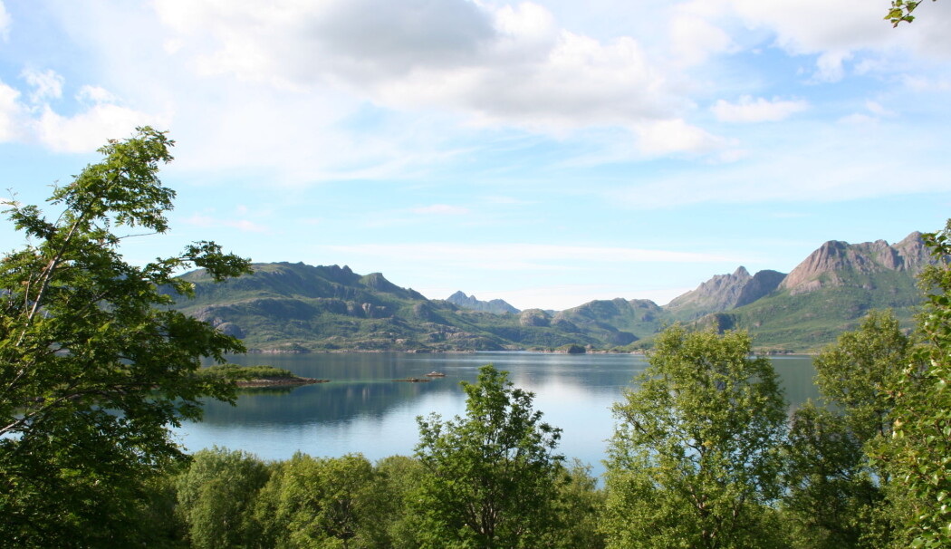 Reiselivsekspertene anbefaler å besøke randsonene av de meste kjente stedene i Nord-Norge, blant annet Vesterålen. Reiselivsekspertene anbefaler å besøke randsonene av de meste kjente stedene i Nord-Norge, blant annet Vesterålen.