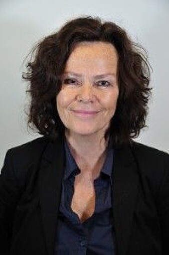 Anne Lise Ellingsæter er professor ved Institutt for sosiologi og samfunnsgeografi ved UiO. Anne Lise Ellingsæter er professor ved Institutt for sosiologi og samfunnsgeografi ved UiO.