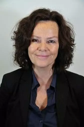 Anne Lise Ellingsæter er professor ved Institutt for sosiologi og samfunnsgeografi ved UiO.