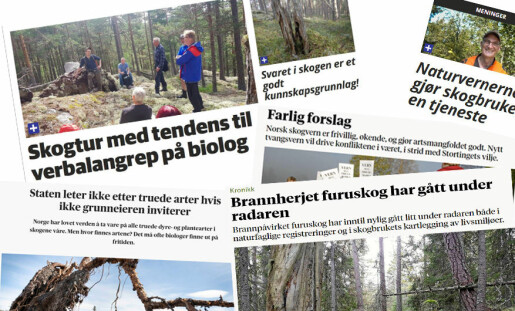 Opphetet debatt om truede arter og skognæringas miljøansvar i Notodden