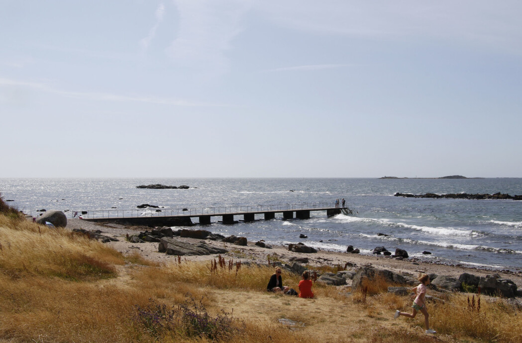 Torekov i Skåne i Sverige. Torekov i Skåne i Sverige.