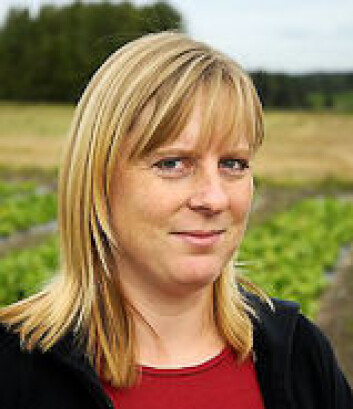 Forsker Berit Nordskog ved Bioforsk Plantehelse. Foto: Bioforsk Forsker Berit Nordskog ved Bioforsk Plantehelse. Foto: Bioforsk