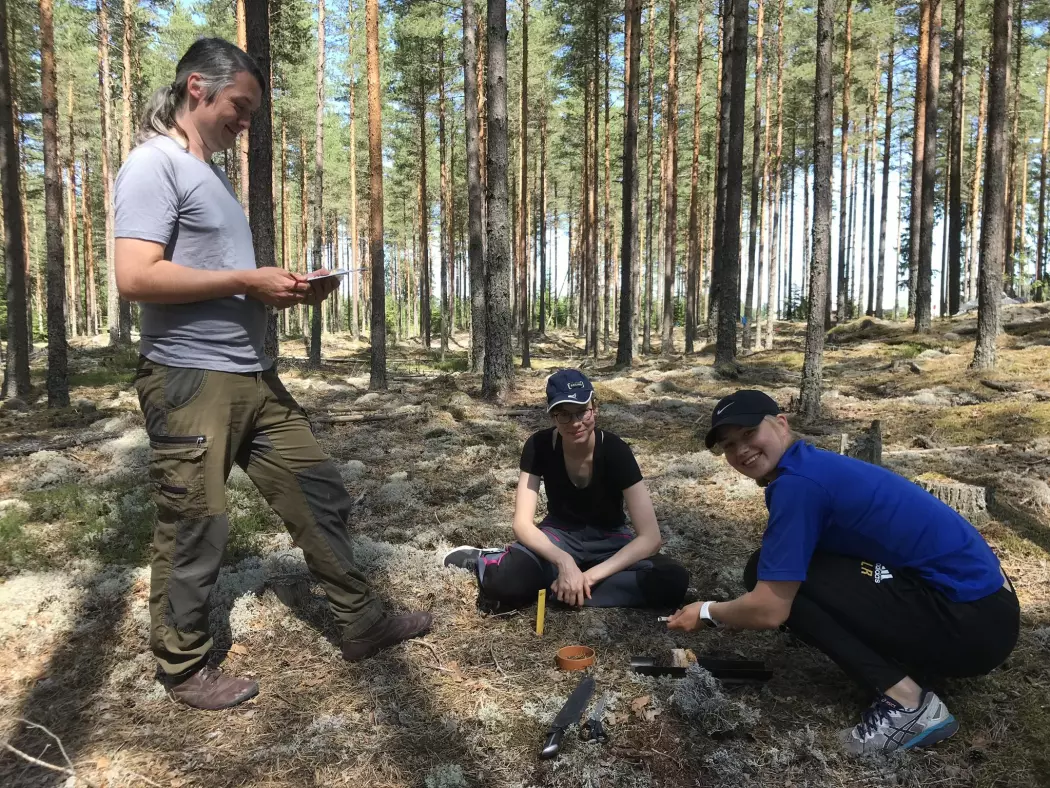 Helge Meissner, Christine Lange og Ingeborg Lyng Rødal tar jordprøver i forsøksfeltet i Kongsvinger.