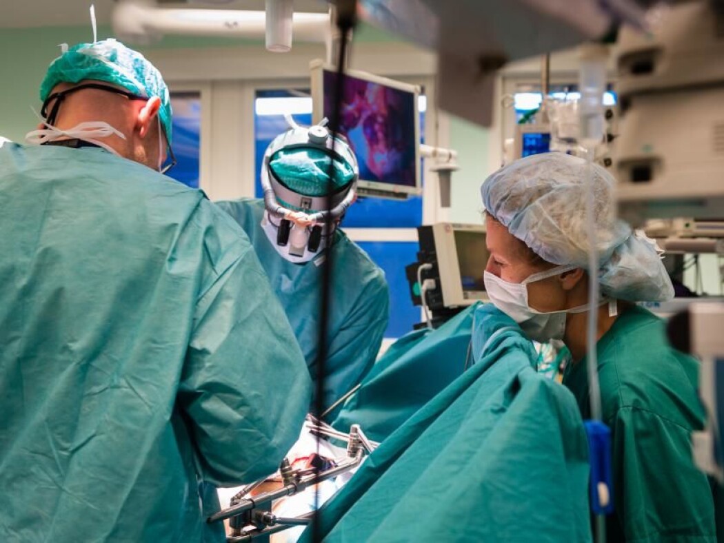 Alle nyretransplantasjonar i Noreg vert utførte på Rikshospitalet. Alle nyretransplantasjonar i Noreg vert utførte på Rikshospitalet.