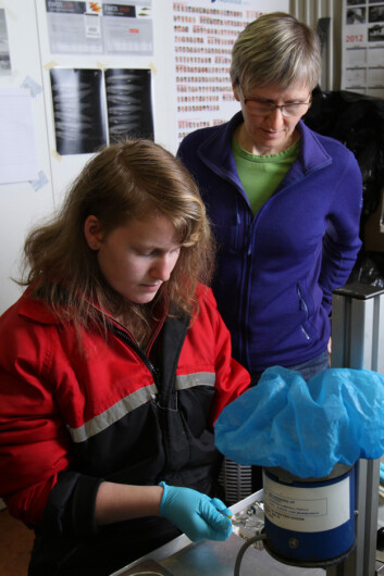 Gerd Marit Berge (bak) og tekniker merker laks som skal testes for evne til å omdanne korte omega-3-fettsyrer til lange omega-3-fettsyrer. (Foto: (Kjell Merok, Nofima)) Gerd Marit Berge (bak) og tekniker merker laks som skal testes for evne til å omdanne korte omega-3-fettsyrer til lange omega-3-fettsyrer. (Foto: (Kjell Merok, Nofima))