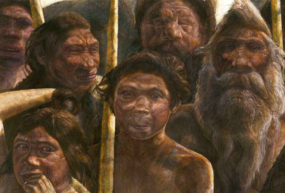 Fortidsmenneskene fra Sima de los Huesos i det nordlige Spania levde for minst 300 000 år siden. Slik kan de ha sett ut, ifølge en tegner. (Foto: (Illustrasjon: Javier Trueba, MADRID SCIENTIFIC FILMS))