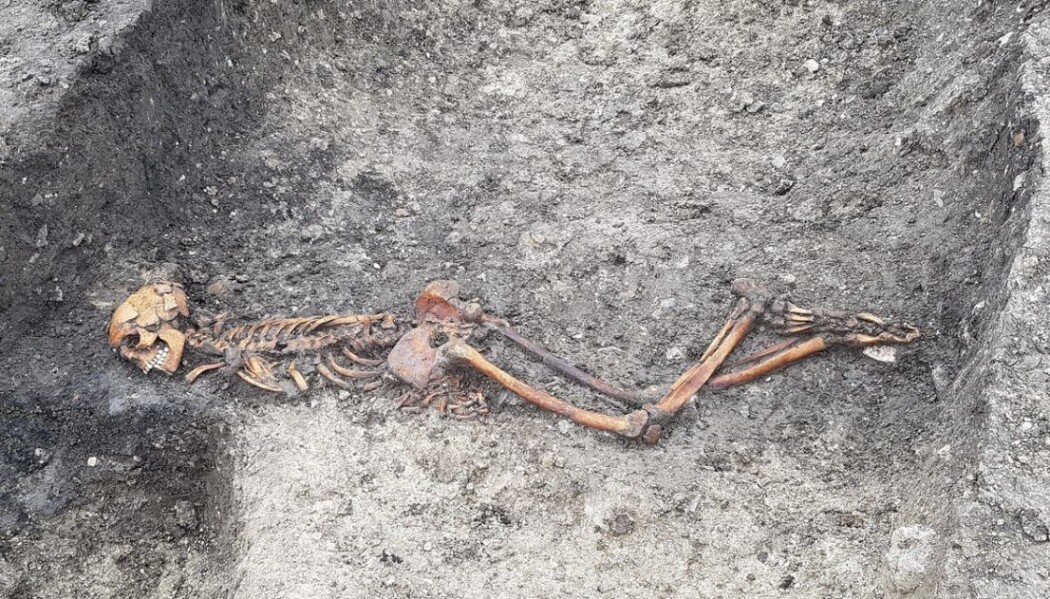 Skjelettet fra en voksen mann ble funnet på Wellwick Farm i England. Jorda som består av mye leire har bidratt til å bevare skjelettet. Skjelettet fra en voksen mann ble funnet på Wellwick Farm i England. Jorda som består av mye leire har bidratt til å bevare skjelettet.