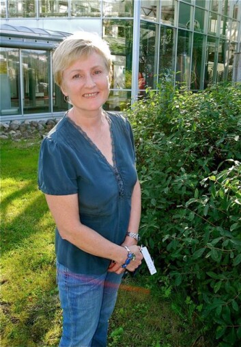 Stipendiat Inger J. Danielsen ved Helsefak (Foto: Elisabeth Øvreberg) Stipendiat Inger J. Danielsen ved Helsefak (Foto: Elisabeth Øvreberg)