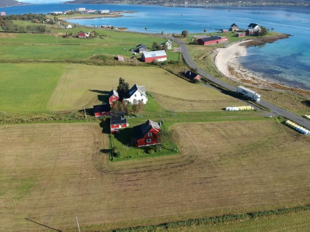 Her, på Sandtorg ved Tjeldsund, har det vært handelssted fra så tidlig som 800-tallet. Det oppdaget masterstudenten Tor-Ketil Krokmyrdal. Her, på Sandtorg ved Tjeldsund, har det vært handelssted fra så tidlig som 800-tallet. Det oppdaget masterstudenten Tor-Ketil Krokmyrdal.