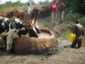 Vannhull i Uganda. (Foto: Clovis Kankya) Vannhull i Uganda. (Foto: Clovis Kankya)