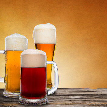 (Foto: Microstock) (Foto: Microstock)