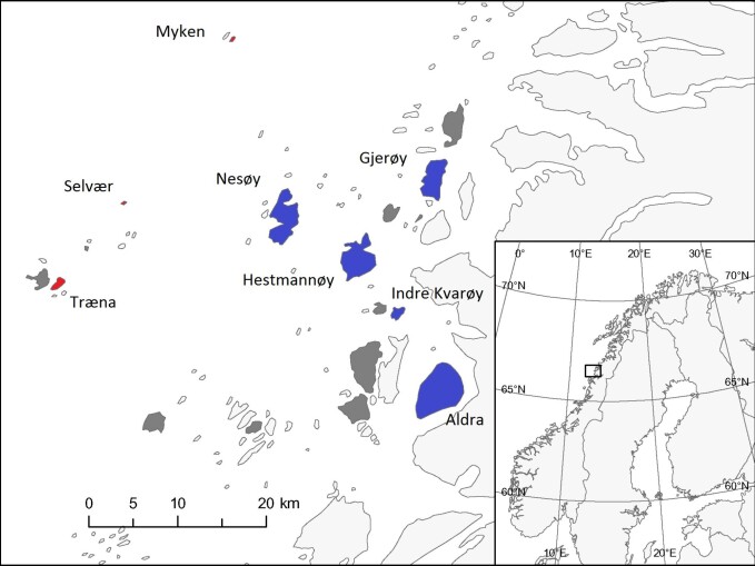 The islands in red and blue represent different habitats. The blue ones are where sparrows live on farms and the red ones are where sparrows live in people’s gardens. The islands in red and blue represent different habitats. The blue ones are where sparrows live on farms and the red ones are where sparrows live in people’s gardens.