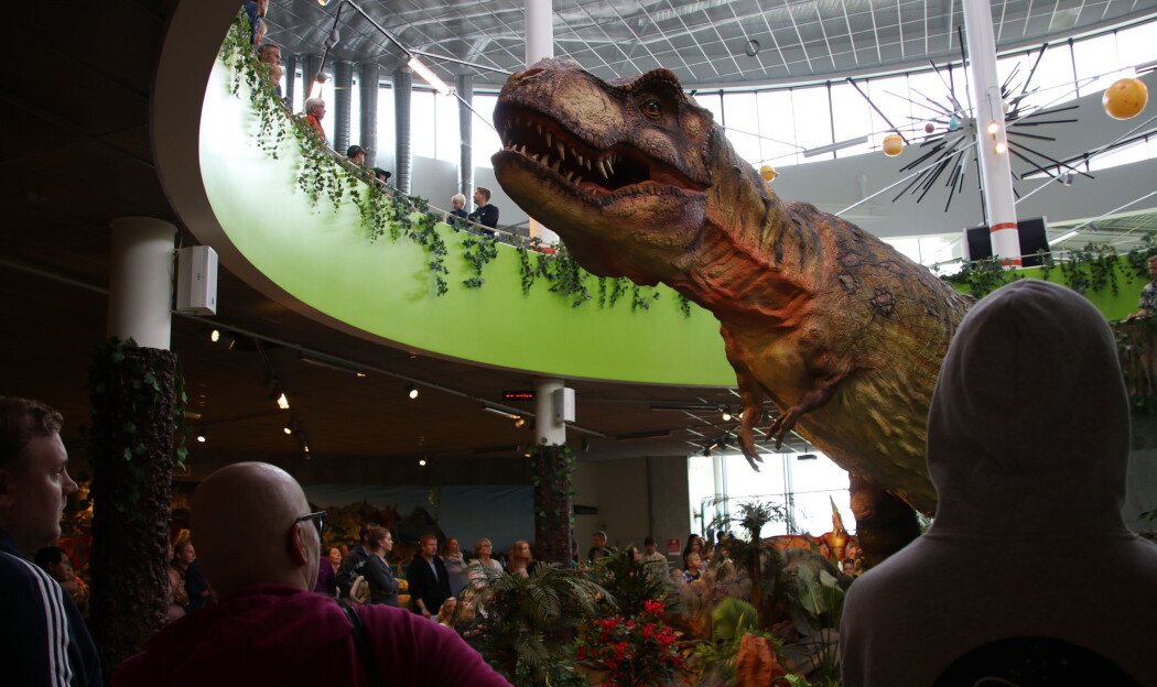 Her har den fryktinngytende kjendisen Tyrannosaurus rex våknet til live. Her har den fryktinngytende kjendisen Tyrannosaurus rex våknet til live.