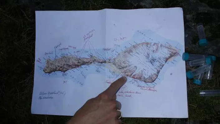Torbjørn Ekrem peker på den delen av nordsida av Jan Mayen som de skal ta prøver fra. På denne siden ligger vulkanen Beerenberg. Forskerne skal for det meste holde seg på sørsida av Jan Mayen, som på dette kartet er til venstre. (Foto: Stina Åshildsdatter Grolid)