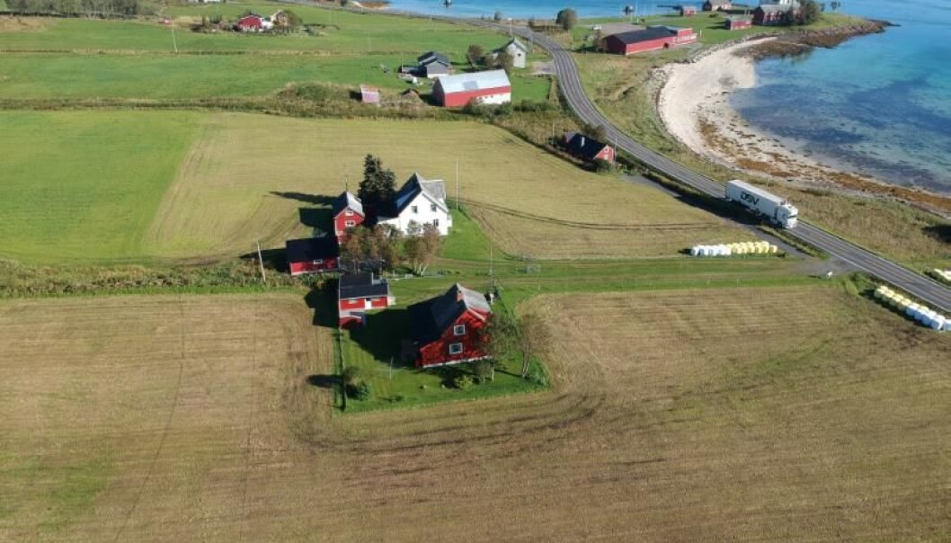 Here, at Sandtorg by Tjelsund, Tor-Kjetil discovered a trading place that existed as early as the 800s. Here, at Sandtorg by Tjelsund, Tor-Kjetil discovered a trading place that existed as early as the 800s.