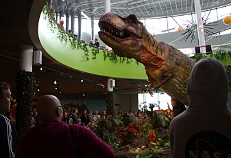 Dinosaurer i full størrelse har kommet til Norge