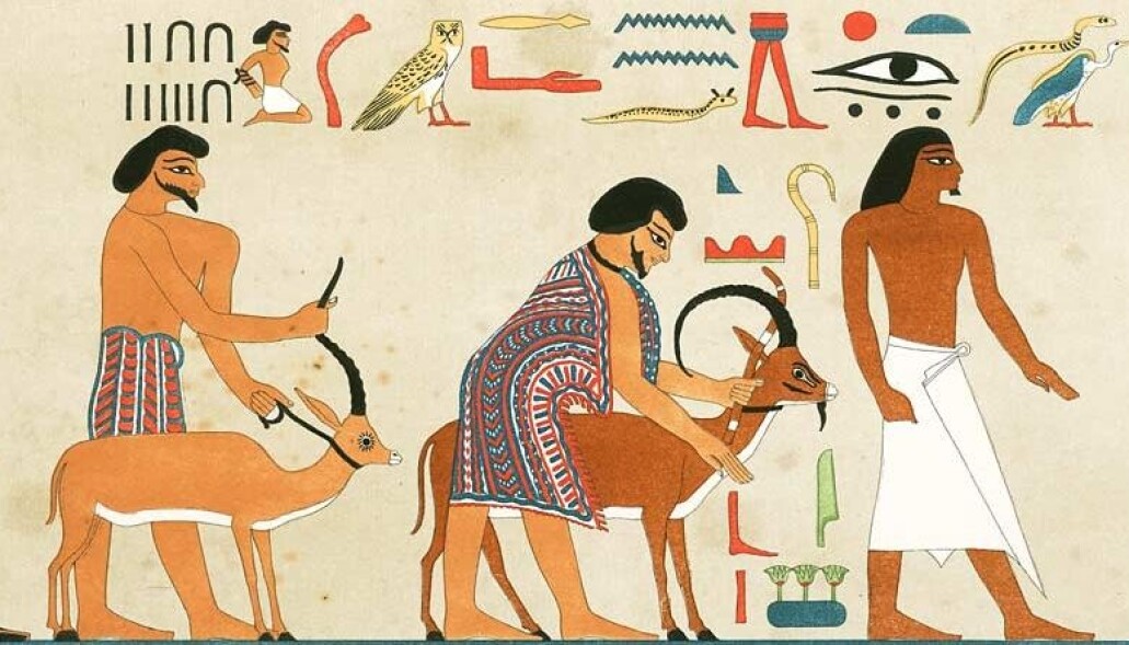 Hyskos-dynastiet regjerte i Det gamle Egypt rundt 1759-1550 fvt. Men de grep ikke makten med vold, mener forskere. Bildet er et utsnitt fra egyptisk kunst som viser en gruppe vest-asiatere som ankommer Egypt - du kan se hele bildet lenger nede i artikkelen. Hyskos-dynastiet regjerte i Det gamle Egypt rundt 1759-1550 fvt. Men de grep ikke makten med vold, mener forskere. Bildet er et utsnitt fra egyptisk kunst som viser en gruppe vest-asiatere som ankommer Egypt - du kan se hele bildet lenger nede i artikkelen.