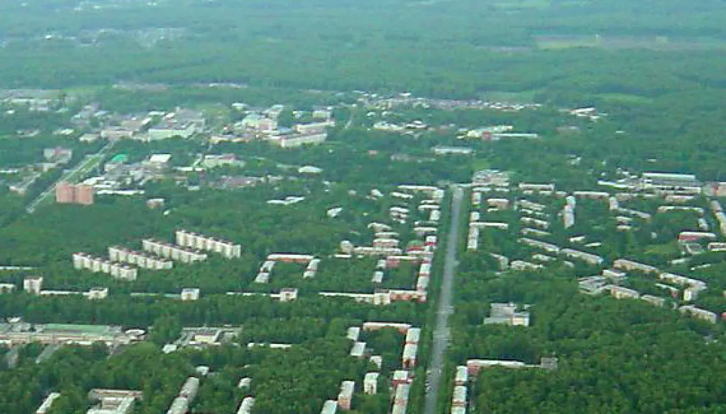 Silisiumskogen ved Novosibirsk