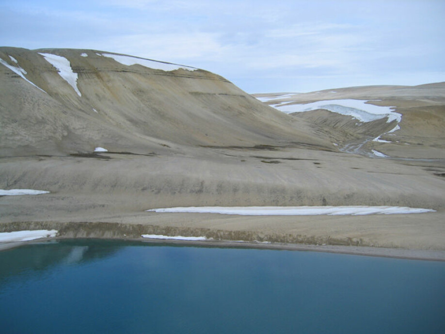 Goldt, nesten vegetasjonsløst landskap på nordsida av Palanderbukta. Store deler av Svalbards landskap er vegetasjonsfattig.