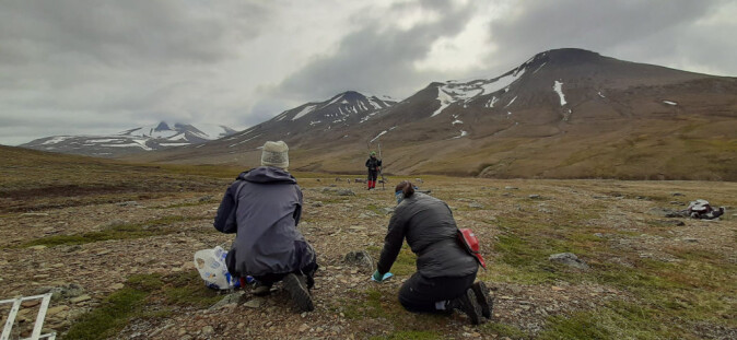 Overvåkningen av vegetasjonen på Svalbard skal dokumentere effekter av klimaendringer på arktiske tundra og spesielt overvåke fjellrev, svalbardrype, svalbardrein, gjess og mose-tundra vegetasjon. Overvåkningen av vegetasjonen på Svalbard skal dokumentere effekter av klimaendringer på arktiske tundra og spesielt overvåke fjellrev, svalbardrype, svalbardrein, gjess og mose-tundra vegetasjon.