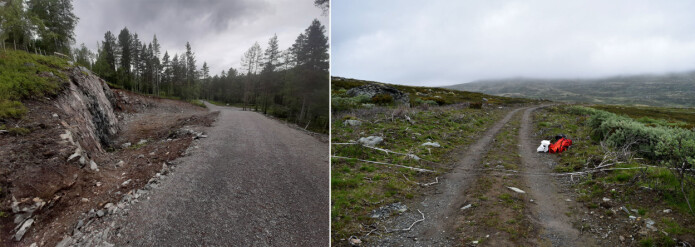Over hele landet bygges veger i naturen og tankegangen fra «Grønt kurs» kan bety mye for omfanget av unødvendige naturinngrep. Denne anleggsvegen langs et gammelt kjørespor i Oppdal (bilde til høyre) er bygd for å tåle transport av tunge maskiner og steinmasser til oppgradering av en kraftverksdam. Her er det gjennomført «Grønt kurs» og inngrepene er faktisk mindre enn turstien. Denne turstien fra Tingvoll (bilde til venstre) har medført enorme naturinngrep og klimagassutslipp, mens det finnes gode eksempler på mye brukte og velfungerende turstier uten terrenginngrep. Over hele landet bygges veger i naturen og tankegangen fra «Grønt kurs» kan bety mye for omfanget av unødvendige naturinngrep. Denne anleggsvegen langs et gammelt kjørespor i Oppdal (bilde til høyre) er bygd for å tåle transport av tunge maskiner og steinmasser til oppgradering av en kraftverksdam. Her er det gjennomført «Grønt kurs» og inngrepene er faktisk mindre enn turstien. Denne turstien fra Tingvoll (bilde til venstre) har medført enorme naturinngrep og klimagassutslipp, mens det finnes gode eksempler på mye brukte og velfungerende turstier uten terrenginngrep.