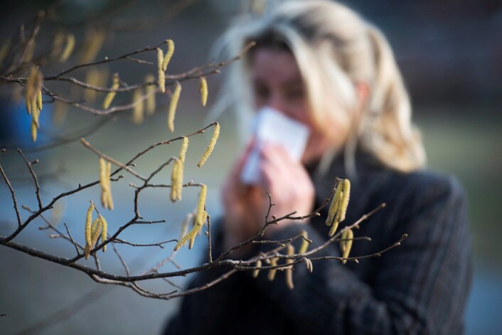 Nå er nok en sesong med pollenallergi snart i gang. Et nytt nesefilter kan lindre symptomene. (Foto: Fredrik Sandberg, TT Nyhetsbyrån) Nå er nok en sesong med pollenallergi snart i gang. Et nytt nesefilter kan lindre symptomene. (Foto: Fredrik Sandberg, TT Nyhetsbyrån)