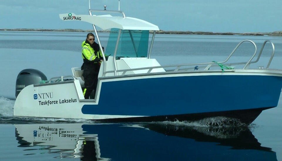 Lone Jevne har tatt en doktorgrad på tiltak som kan forsinke angrep av lakselus i oppdrettsanlegg. Her er hun i en båt fra Taskforce Lakselus ved NTNU og Blått kompetansesenter på Frøya i Trøndelag.