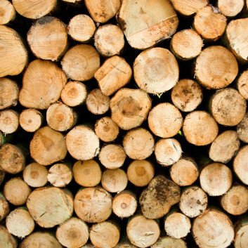 (Illustrasjonsfoto: www.colourbox.no) (Illustrasjonsfoto: www.colourbox.no)