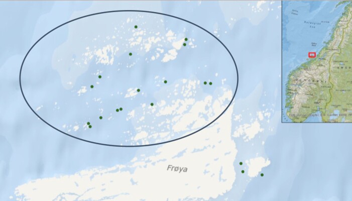Lone Jevne ved NTNU fulgte luseangrep ved 16 lakseoppdrettsanlegg på Frøya i Trøndelag over seks år. Det varierte hvor utstrakt bruken av rensefisk var i de ulike anleggene, og dermed kunne hun sammenligne effekten. Lone Jevne ved NTNU fulgte luseangrep ved 16 lakseoppdrettsanlegg på Frøya i Trøndelag over seks år. Det varierte hvor utstrakt bruken av rensefisk var i de ulike anleggene, og dermed kunne hun sammenligne effekten.