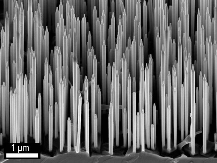 Elektronmikroskopi-bilde av wurtzite GaAs / AlGaAs nanotråder. (Foto: Dheeraj Dasa og Helge Weman, NTNU) Elektronmikroskopi-bilde av wurtzite GaAs / AlGaAs nanotråder. (Foto: Dheeraj Dasa og Helge Weman, NTNU)