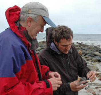 Forskerne Odleiv Olesen og Marco Brönner studerer prøver av sandstein på Andøya. (Foto: NGU) Forskerne Odleiv Olesen og Marco Brönner studerer prøver av sandstein på Andøya. (Foto: NGU)