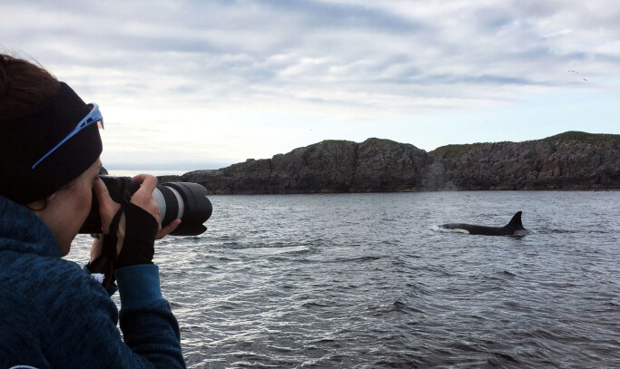 Eve Jourdain with the camera: Taking photos is an important part of this research. Eve Jourdain with the camera: Taking photos is an important part of this research.