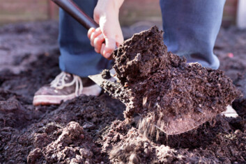 Fosfor er en begrenset ressurs som vi må ta bedre vare på. (Illustrasjonsfoto: iStockphoto) Fosfor er en begrenset ressurs som vi må ta bedre vare på. (Illustrasjonsfoto: iStockphoto)