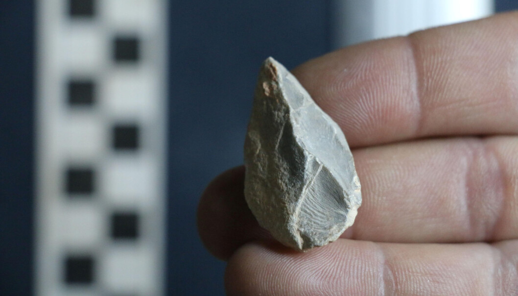 Stenredskaper som dette ble funnet i Chiquihuite-hulen i Mexico, og forskerne har datert de eldste til å være over 30 000 år gamle. Det kan altså avsløre hvor lenge det har vært mennesker på det amerikanske kontinentet. Stenredskaper som dette ble funnet i Chiquihuite-hulen i Mexico, og forskerne har datert de eldste til å være over 30 000 år gamle. Det kan altså avsløre hvor lenge det har vært mennesker på det amerikanske kontinentet.