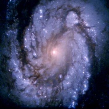 "Her ser du spiralgalaksen M100. Bildet er tatt av Hubbleteleskopet. Kanskje bor det noen her?" "Her ser du spiralgalaksen M100. Bildet er tatt av Hubbleteleskopet. Kanskje bor det noen her?"