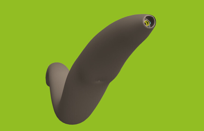På nettstedet til Open Worm Project kan du selv rotere modellen av rundormen C. elegans i tre dimensjoner og kle den av, lag for lag, for å avdekke indre strukturer. (Foto: (Figur: Open Worm Project)) På nettstedet til Open Worm Project kan du selv rotere modellen av rundormen C. elegans i tre dimensjoner og kle den av, lag for lag, for å avdekke indre strukturer. (Foto: (Figur: Open Worm Project))