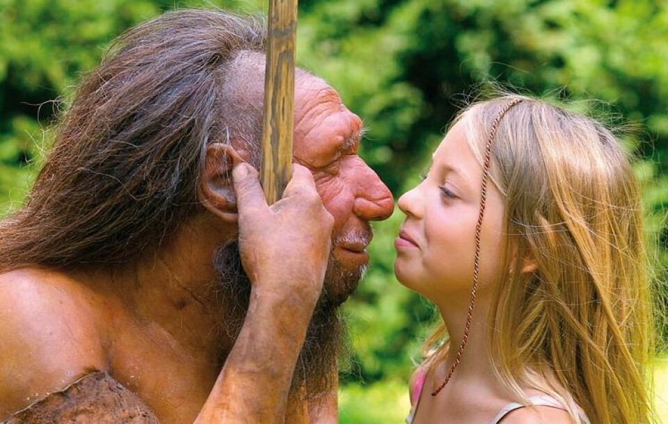 Deler av genomet vårt er rikt på neandertaler-gener. Andre deler av genomet vårt mangler felles gener med neandertalerne. (Foto: Neanderthal Museum, Mettmann)