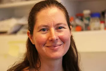 Forsker Gunnveig Grødeland har vært med på å utvikle en DNA-vaksine mot influensa. Vaksinen kan lages på kun få uker. (Foto: Marianne Baksjøberg, UiO)