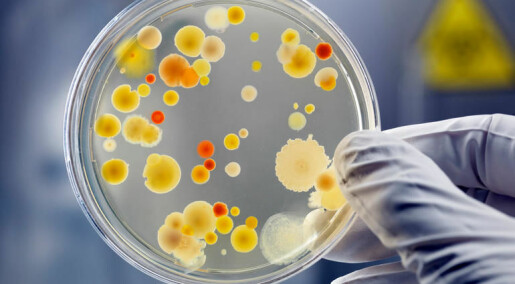 Nytt materiale skal fange og drepe mikrober, inkludert luftbårne virus